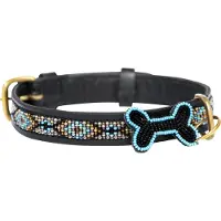 Kampuni Hundehalsbånd Skinny Ombima turkis medium, 53x2,1 cm