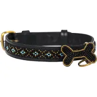Kampuni Hundehalsbånd Skinny Faraja turkis large, 61x2,1 cm