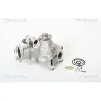 TRISCAN Wasserpumpe 8600 23002