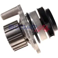 BOGAP Wasserpumpe Premium A4234158