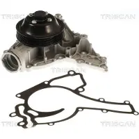 TRISCAN Wasserpumpe 8600 23100