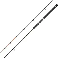 Penn Regiment IV Spin/Pilk 802 2,40m 20-80g - Pilkrute