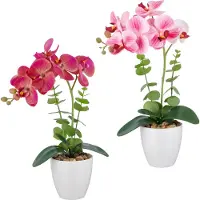 Creativ Green Kunstorchidee "Orchidee Phalaenopsis" mit Eukalyptuszweigen