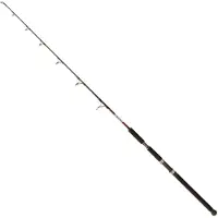 Jenzi Wallerrute Baitmaster Vertical 100-250g 1,70m
