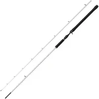 Abu Garcia BEAST X2 802 H Trolling Cast 2,44m 30-100g - Schlepprute
