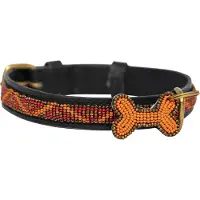 Kampuni Hundehalsbånd Skinny Kabaka neon medium, 53x2,1 cm