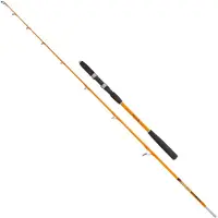 Jenzi Meeresrute Seamaster Solid Pro Pilk and Jig 2,00m 40-150g