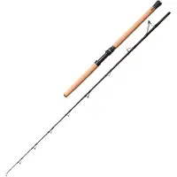 Savage Gear Fury Sg6 Halibut 195cm 250-700g (40-60Lbs) - Meeresrute