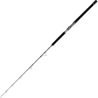 Penn Battalion Solid Tuna Broumé Spinning 6ft 50-100LBS - Angelrute