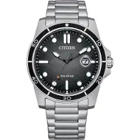 Citizen Nur Zeit Silber Kollektion Action OF - mann