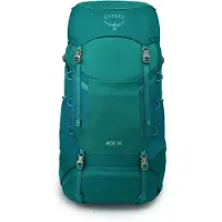 Osprey - Trekking-Rucksäcke &ndash; Kinder &ndash; Ace 38 - Ace 38 Blue Spikemoss/Deep - Blau