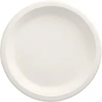 Papstar 100 Teller, Zuckerrohr "pure" ungeteilt Ø 23 cm · 2 cm weiss