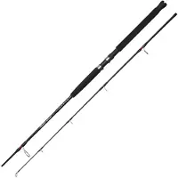 Ugly Stik Bigwater 300cm 20-80G 10Ft Spinnrute, Angelrute Spinnrute 1580519