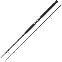 Ugly Stik Bigwater 270cm 20-60G 9Ft Spinnrute, Angelrute Spinnrute 1580518
