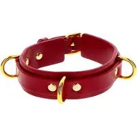 Taboom D-Ring Halsband Deluxe