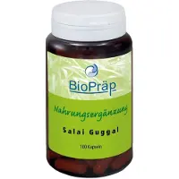 BioPräp Salai Guggal Weihrauch Kapseln 100 St