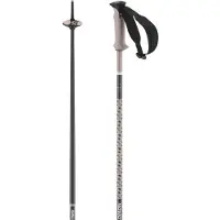 Salomon Polar Pro Stöcke