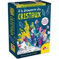 Lisciani ICH BIN EIN GENIE Pocket Entdeckung der Kristalle - Wissenschaftsset - - Kristallisation & Experimente - Ab 8 Jahren