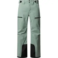 The North Face Herren Hose M CHAKAL PANT