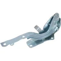 BLIC Motorhaube, Scharniere 6802-00-3289452P