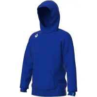 Arena Team Hooded Sweat Panel