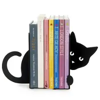 SmartaSaker Hidden Cat