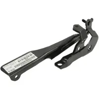 BLIC Motorhaube, Scharniere 6802-00-2914451P