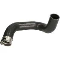 THERMOTEC Ladeluftschlauch DCF099TT