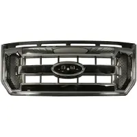 BLIC Kühlerhaube 6502-07-2593991P