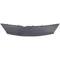 BLIC Blende Kühlergitter 6502-07-6039210P Vorne für RENAULT SCÉNIC II (JM0/1)
