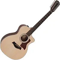 Taylor Guitars Taylor 254ce Plus 12-saitig Natur