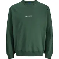 Jack & Jones Sweatshirt "JORNORREBRO EMB SWEAT CREW NOOS", mit Logo Print