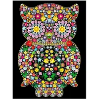 Stepp Malbuch Colorvelvet A4 Eule – Sp. z o.o.