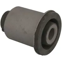 Delphi Lagerung, Querlenker TD1755W