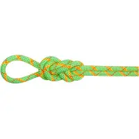 Mammut - 8.0 Alpine Core Protect Dry Rope - Halbseil Gr 50 m grün