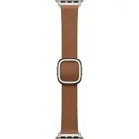 Apple Modern Buckle