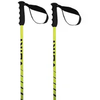 Völkl Speedstick Stöcke