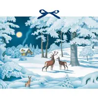 Coppenrath Verlag Wand-Adventskalender - Wintertiere bei Nacht