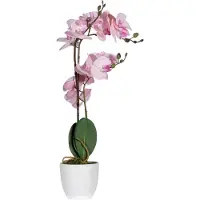 PaperFlow meet powered by ORCHIDEE Kunstpflanze 50,0 cm