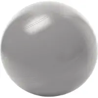 Togu Sitzball ABS