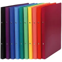 Exacompta Ringbuch, PP, 2-Ring-Mechanik, DIN A4, sortiert