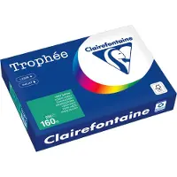 Clairefontaine Tannengrün A4 Farbiges Papier 160 g/m² (250 Blatt)