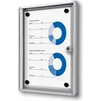 SHOWDOWN Schaukasten Economy XS B1 silber 1x DIN A4
