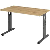 Hjh OFFICE PRO MEGA 612 G - h?henverstellbar Asteiche/Graphit 120 x 67