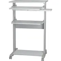 Roline PC Standing Workstation