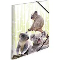 Herma 3 Sammelmappen DIN A4 Koalas