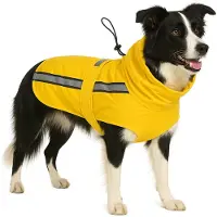 Flamingo Ciro Hunde Regenmantel
