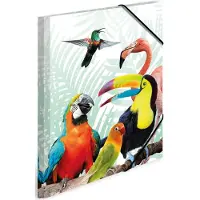 Herma 3 Sammelmappen DIN A4 Papageien