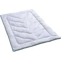 BETTWARENSHOP Faserduvet