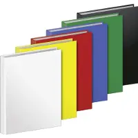 Baier & Schneider Ringbuch